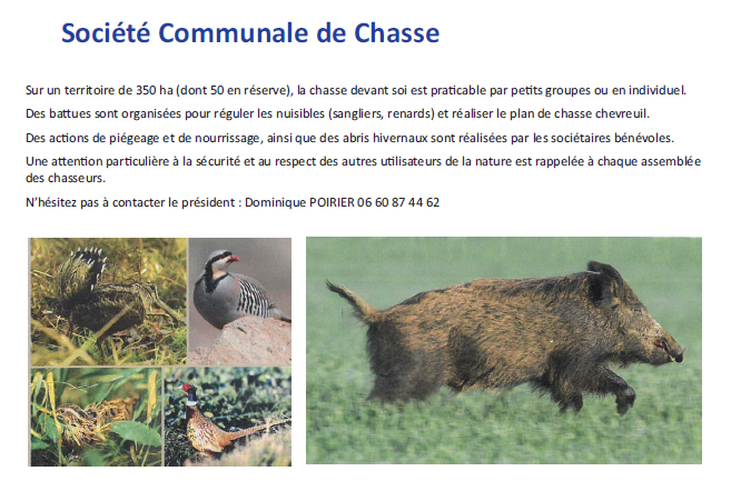 chasse